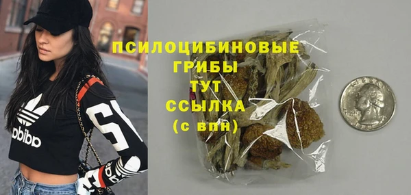 спайс Абаза