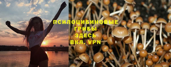 МДПВ Абинск