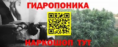 PSILOCYBIN Кулебаки