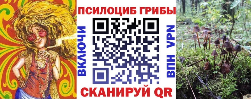 Псилоцибиновые грибы MAGIC MUSHROOMS  Кинель 