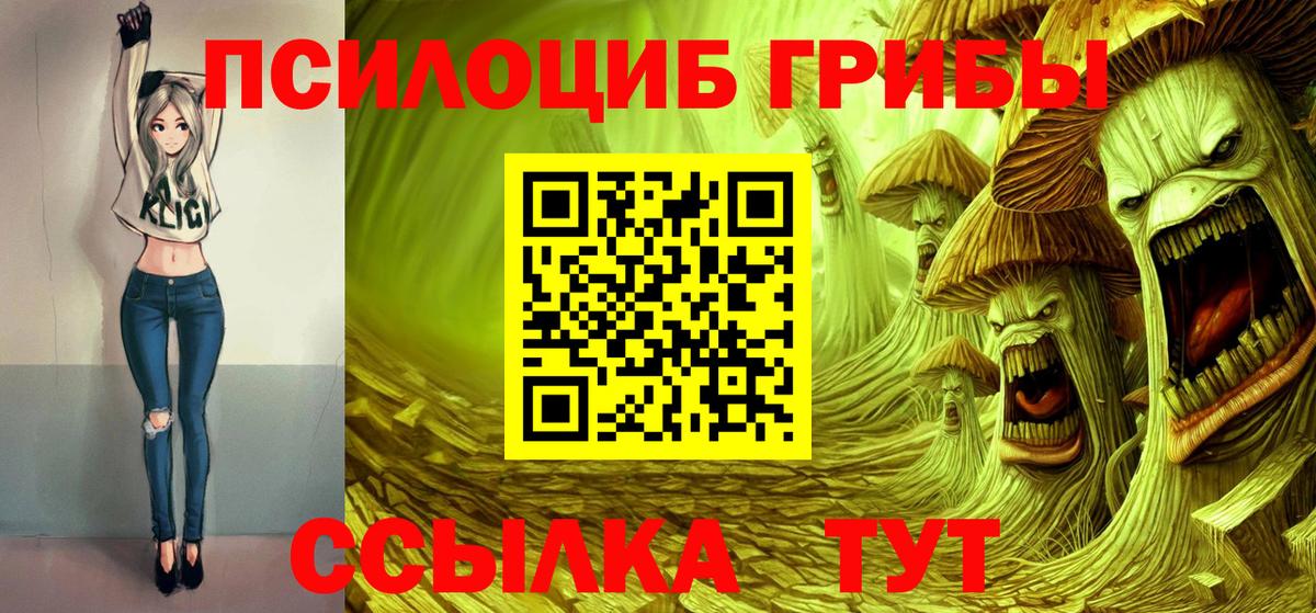 Галлюциногенные грибы ЛСД  Вход с VPN  Кинель  Галлюциногенные грибы GOLDEN TEACHER 
