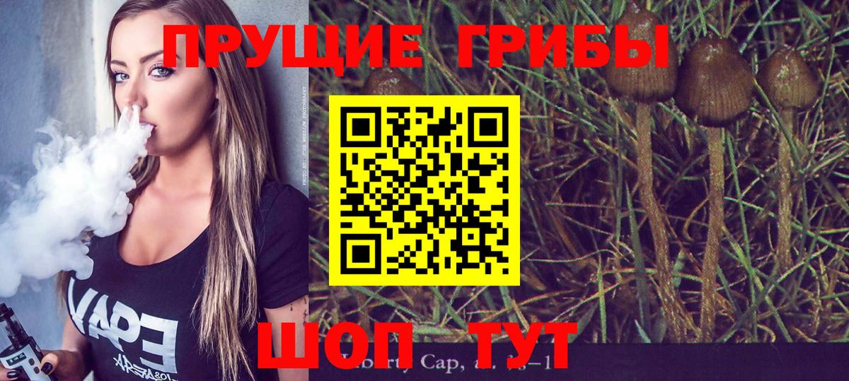 Галлюциногенные грибы мицелий Кинель